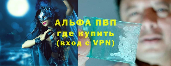 гашик Арсеньев