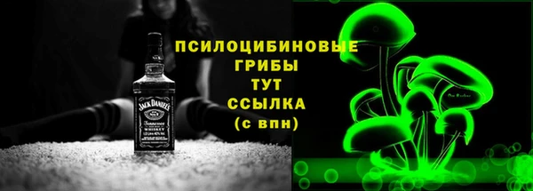 гашик Арсеньев