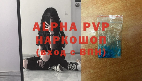 гашик Арсеньев