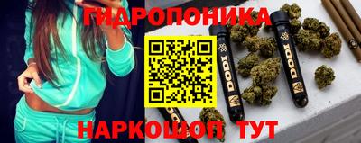 a pvp Дубна