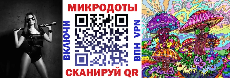 Псилоцибиновые грибы Psilocybine cubensis Пушкино