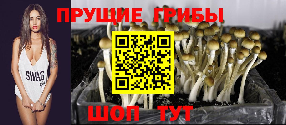 Галлюциногенные грибы MAGIC MUSHROOMS  Вход с VPN  Пушкино  Псилоцибиновые грибы Magic Shrooms 