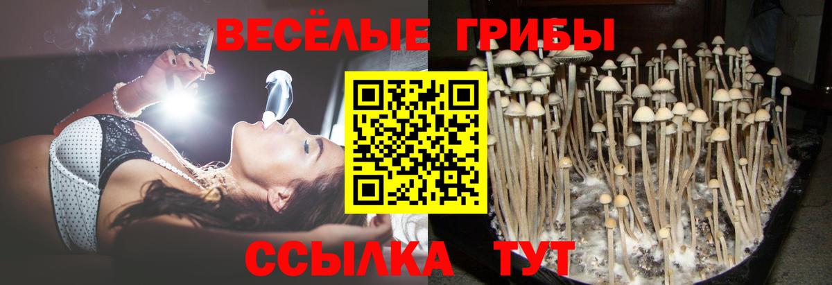 Галлюциногенные грибы Magic Shrooms Пушкино